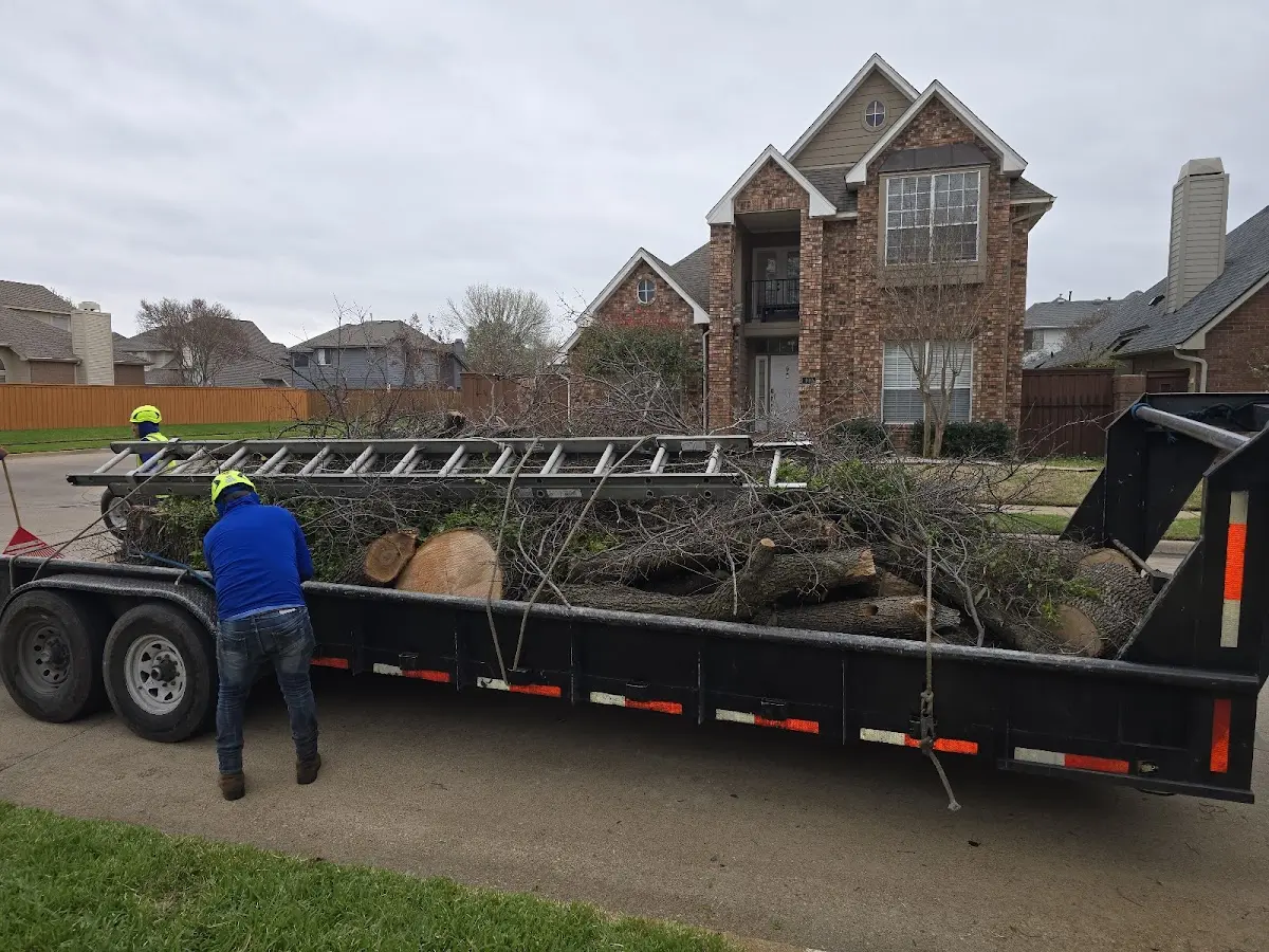Expert Tree Fertilization with proper safety equipment in Gates